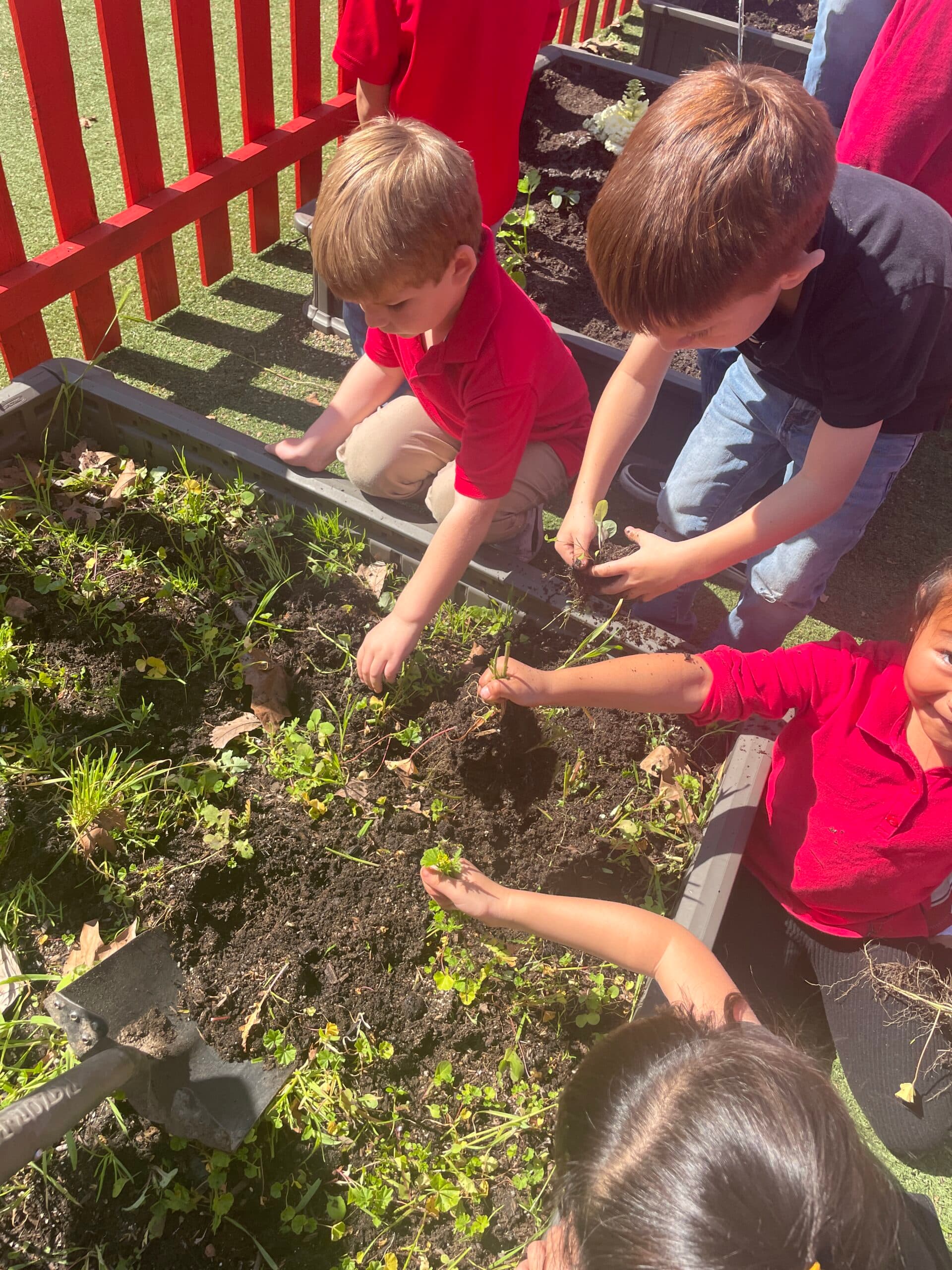 Children digging in the garden bed during outdoor learning time