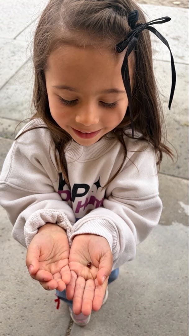 Pre-K student examining a ladybug outdoors